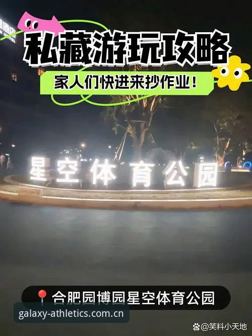 星空体育最新版本 星空体育最新版本实用指南:功能详解与高效使用必备知识