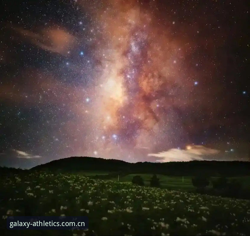 星空体育app功能 星空体育app功能实用指南:老用户分享的必备知识与技巧